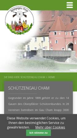 Gauschützenjugend Cham im Oberpfälzer Schützenbund