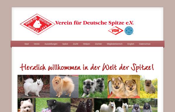 Vorschau von www.deutsche-spitze.de, Verein für Deutsche Spitze e.V. gegründet 1899