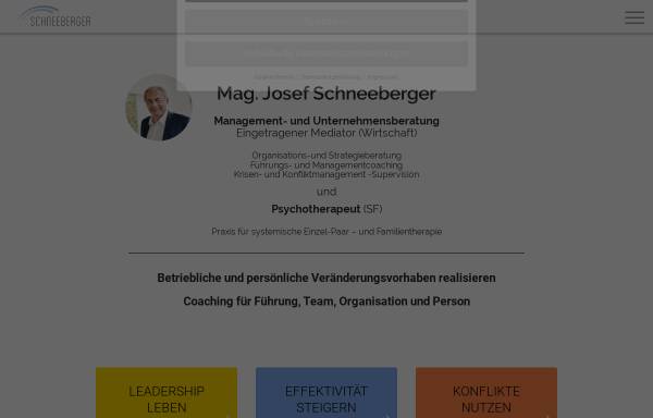 Vorschau von www.prozessbegleitung.at, Mag. Josef Schneeberger