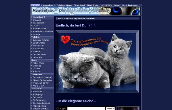 Vorschau von www.elegantekatzen.com, Hauskatzen - Die elegantesten Vierbeiner