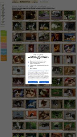 Vorschau der mobilen Webseite fotorip.de, Katzenfotos