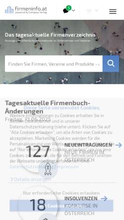 Vorschau der mobilen Webseite www.punktgenau.at, Punktgenau.at