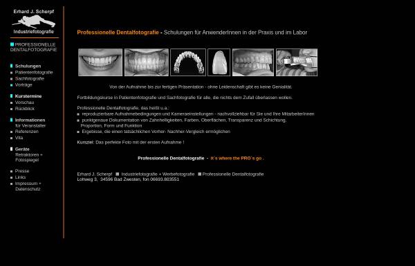 Vorschau von www.professionelle-dentalfotografie.de, Professionelle Dentalfotografie