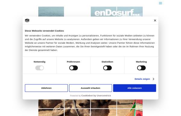 Vorschau von www.endosurf.com, enDo Surf Reiseveranstalter