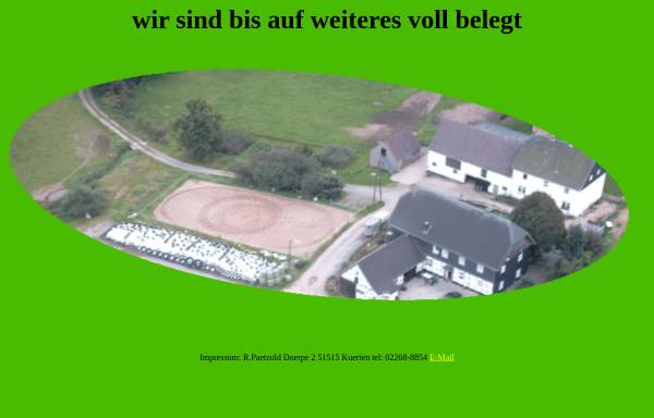 Vorschau von www.deinpferdimgruenen.de, Dein Pferd im Grünen