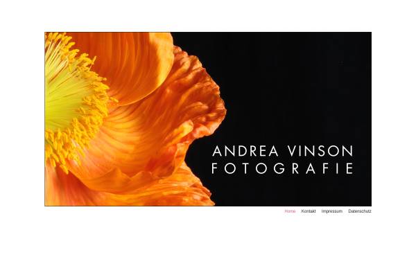 Vorschau von www.andrea-vinson.de, Vinson, Andrea