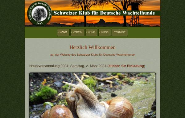 Vorschau von www.wachtelhund.ch, Schweizer Klub für Deutsche Wachtelhunde