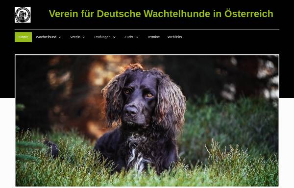 Vorschau von www.wachtelhunde.at, Verein für Deutsche Wachtelhunde in Österreich