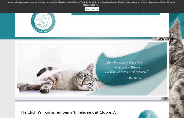 Vorschau von katzenverein.info, 1. Felidae Cat Club
