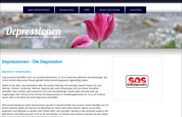 Vorschau von www.depressionen-depression.net, Depressionen - Depression