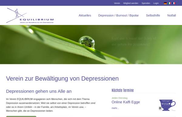 Vorschau von www.depressionen.ch, Equilibrium