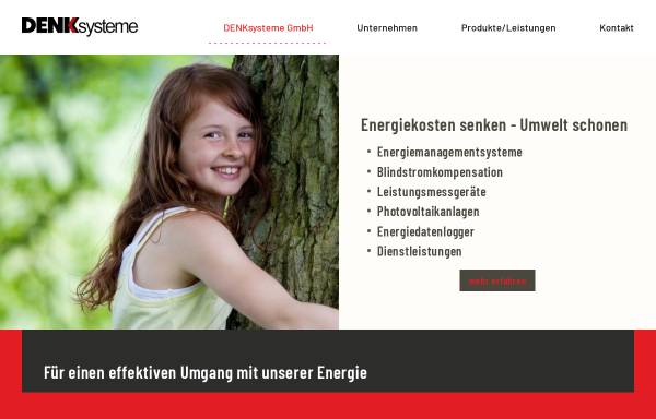 Vorschau von www.denksysteme.com, DENKsysteme GmbH