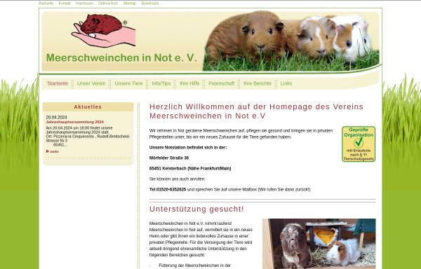 Vorschau von www.meerschweinchen-in-not.de, Meerschweinchen in Not