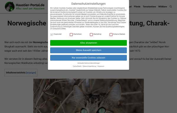 Vorschau von www.norwegische-waldkatzen-welt.de, Norwegische-Waldkatzen-Welt