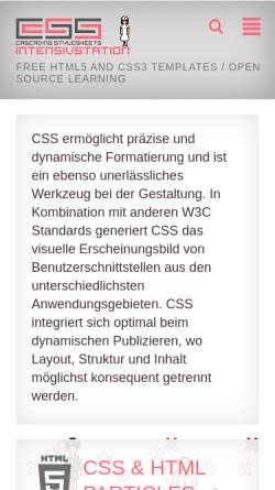 Vorschau der mobilen Webseite intensivstation.ch, CSS Intensivstation