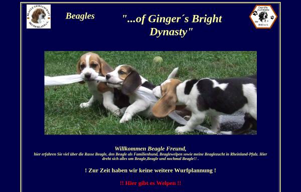 Vorschau von www.beagle-ginger.de, Madhouse of Ginger´s Bright Dynasty