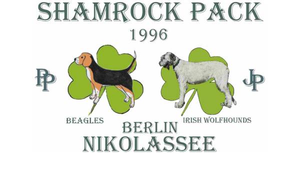 Vorschau von www.shamrock-pack.de, Shamrock Pack