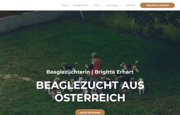Vorschau von www.schloss-altenau.at, Vom Schloß Altenau