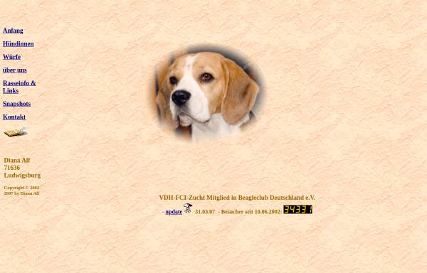 Vorschau von www.beagles-von-der-looperin.de, Von der Looperin