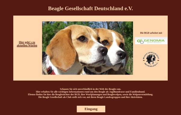 Vorschau von www.beagle-gesellschaft.de, Beagle Gesellschaft Deutschland e.V.