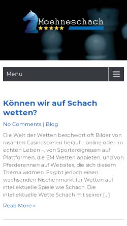 Schachabteilung der Sportvereinigung Möhnesee