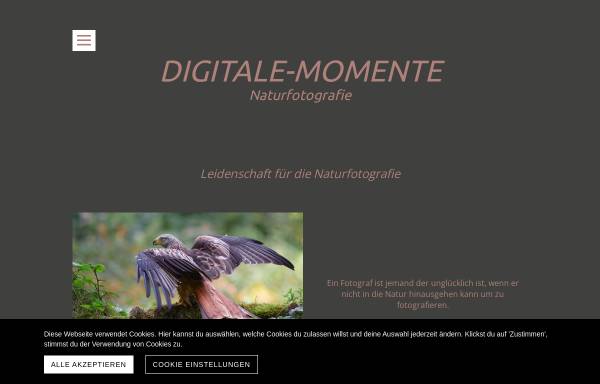 Vorschau von digitale-momente.ch, Schürmann, Leo