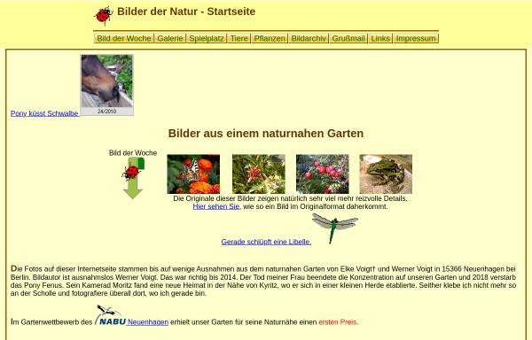 Vorschau von www.bilder-der-natur.de, Voigt, Werner