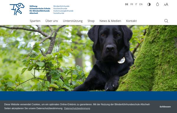 Stiftung Schweizerische Schule für Blindenführhunde