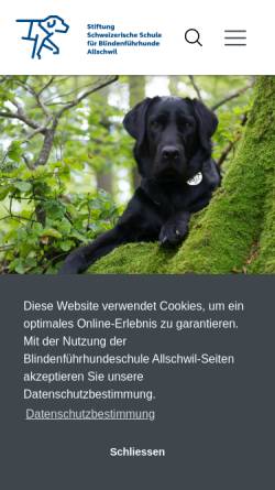 Stiftung Schweizerische Schule für Blindenführhunde