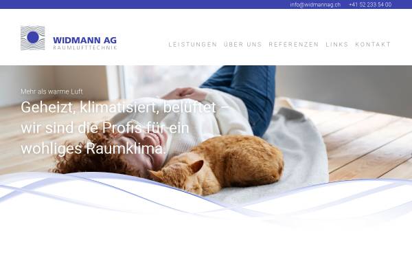 Vorschau von www.widmannag.ch, Widmann AG