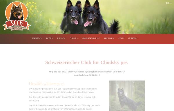 Vorschau von www.chodsky-pes.ch, Chodenhund - Chodsky pes