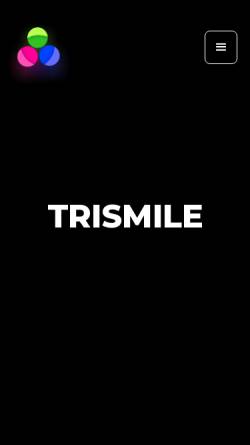 Vorschau der mobilen Webseite www.trismile.de, Trismile - Internet Marketing Agentur