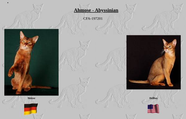 Vorschau von www.ahmose.de, Cattery Ahmose