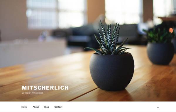 Vorschau von www.mitscherlich.ch, Amiet Mitscherlich + Partner GmbH