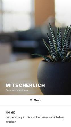 Vorschau der mobilen Webseite www.mitscherlich.ch, Amiet Mitscherlich + Partner GmbH