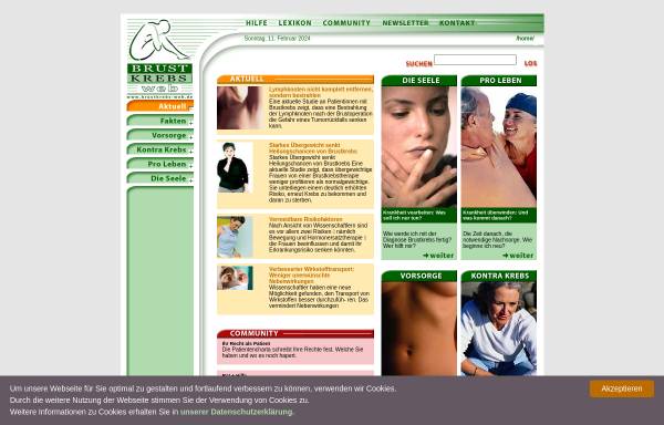 Vorschau von www.brustkrebs-web.de, Brustkrebs-Web