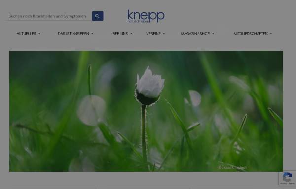 Vorschau von www.kneipp.ch, Schweizer Kneipp-Verband