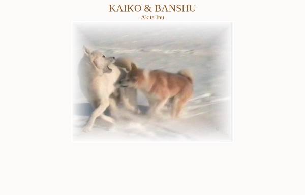 Vorschau von www.akitainu.de, Kaiko und Banshu