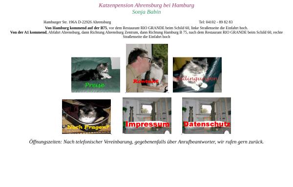 Vorschau von www.katzenpension-ahrensburg.de, Katzenpension Ahrensburg