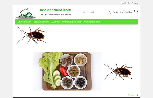 Vorschau von www.insektenzucht-keck.de, Insektenzucht-Keck