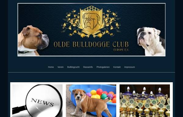 Vorschau von www.obce.de, Olde Bulldogge Club Europe e.V.