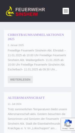Freiwillige Feuerwehr Sinsheim