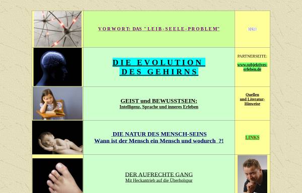 Vorschau von www.gehirn-evolution.de, Gehirnevolution