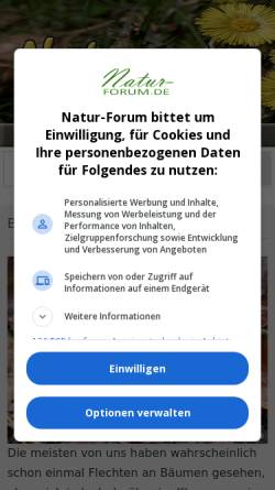 Vorschau der mobilen Webseite www.natur-forum.de, Heilkräuter - Forum