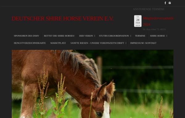 Vorschau von www.shire-horse-germany.de, Deutscher Shire Horse Verein e.V.