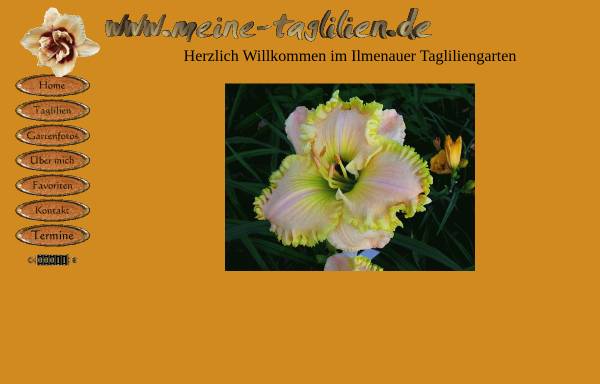 Vorschau von www.meine-taglilien.de, Meine-Taglilien.de