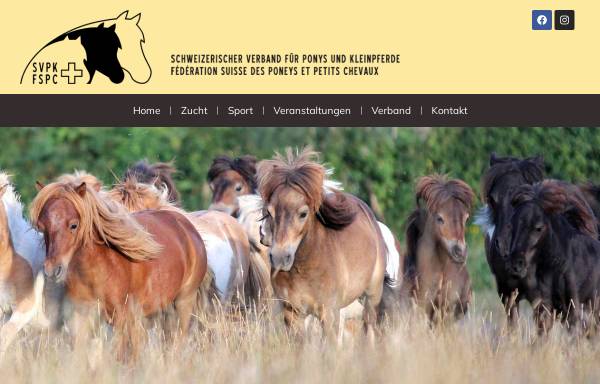 Vorschau von www.svpk.ch, Schweizerischer Verband für Ponys und Kleinpferde (SVPK)