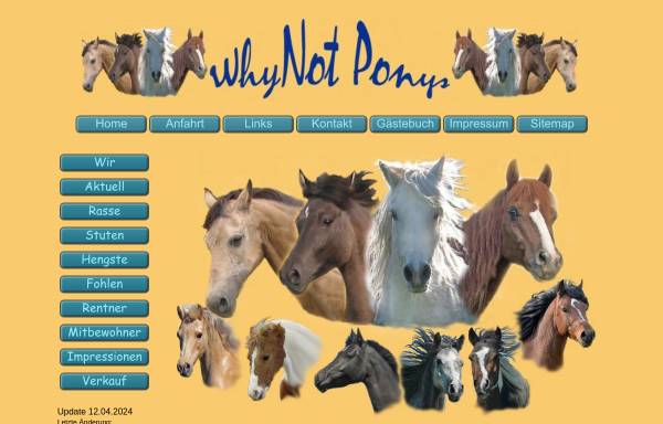 Vorschau von whynot-ponys.de, WhyNot Ponys, Gestüt Ehrnsdorf