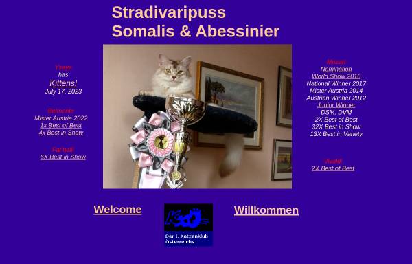 Vorschau von www.somalic.at, Stradivaripuss