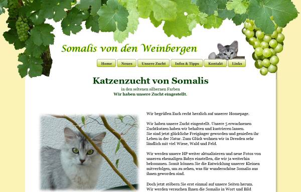 Vorschau von www.somalizwinger.de, Von den Weinbergen